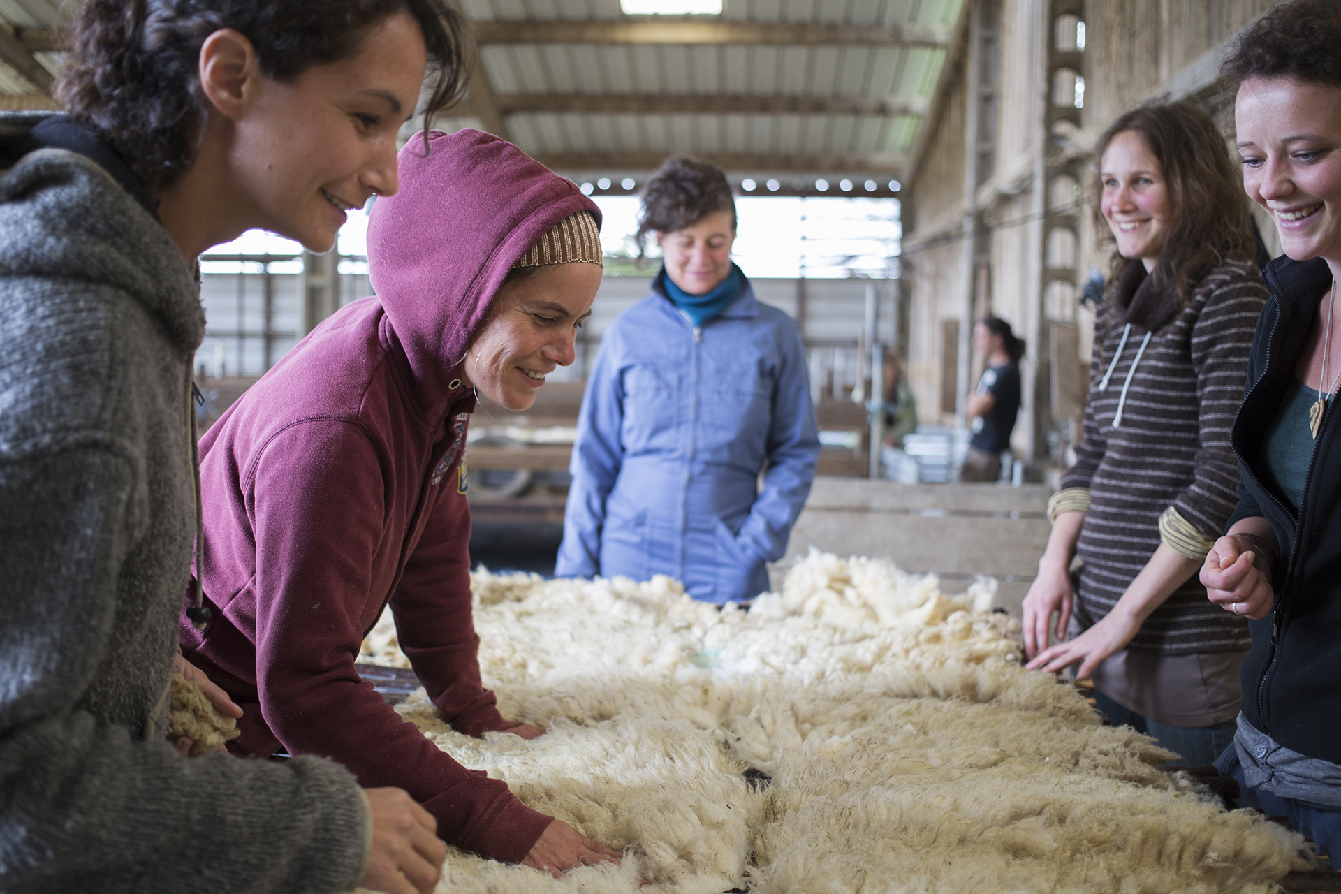 Laines Paysannes, Individus autour de laines